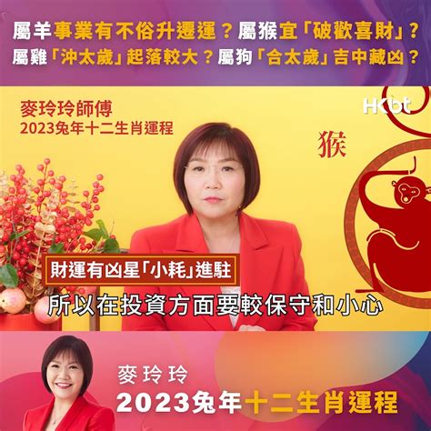 雞年運程2023|【屬雞2023生肖運勢】犯太歲險阻多，感情幾經波。